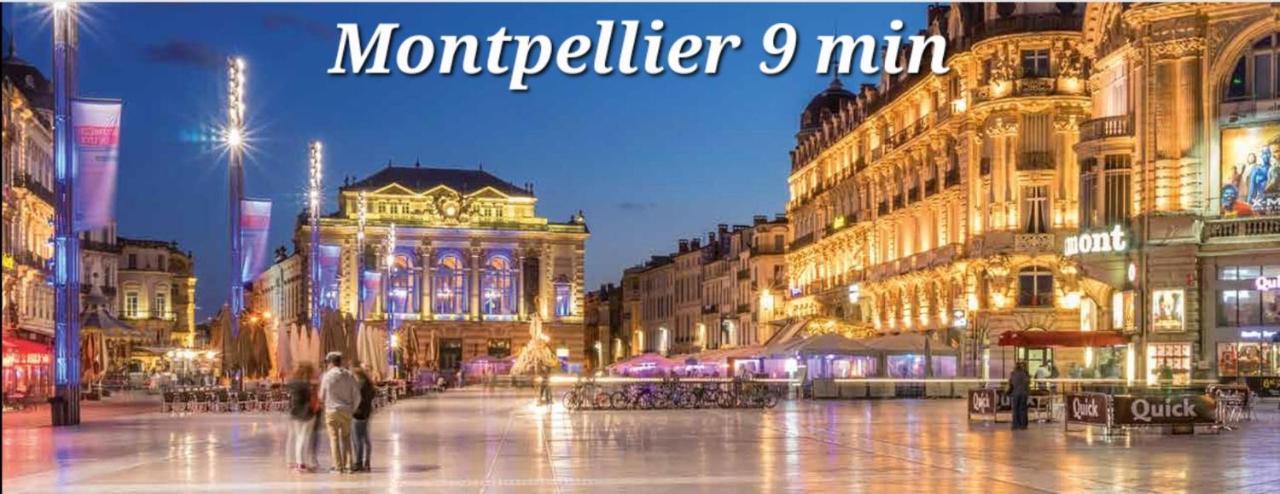 Logement Independant "Les Coquelicots", Terrasse Proche Des Plages Et Montpellier Juvignac Εξωτερικό φωτογραφία